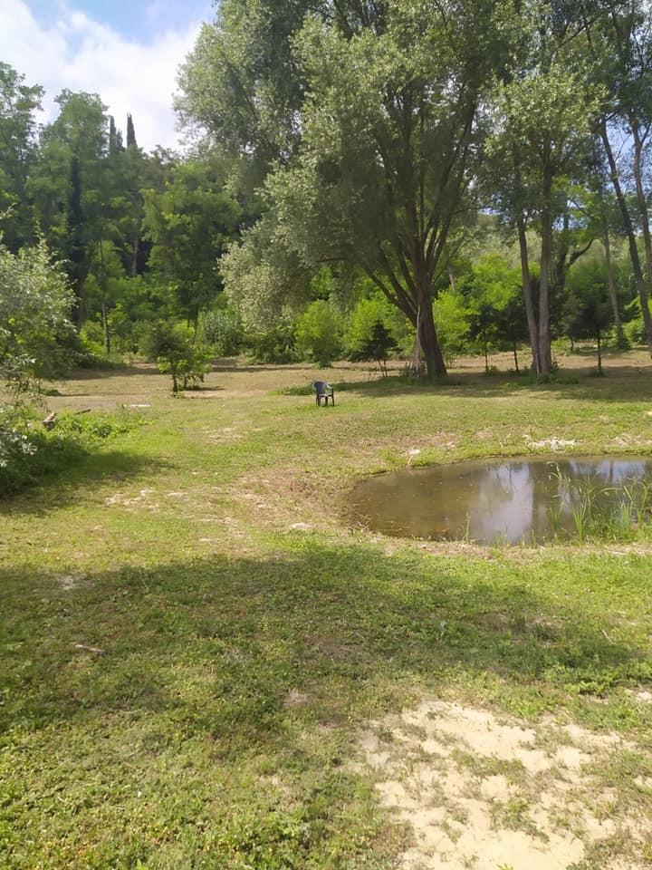 Terreno agricolo in vendita a Crespina lorenzana | Agenzia Toscana Immobiliare