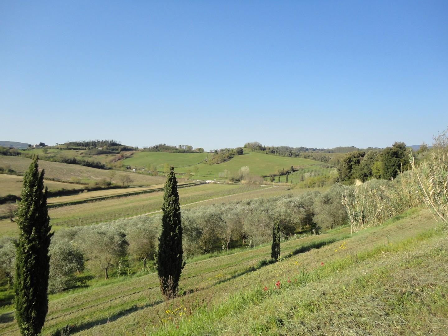 Casale in vendita a Casciana terme lari | Agenzia Toscana Immobiliare