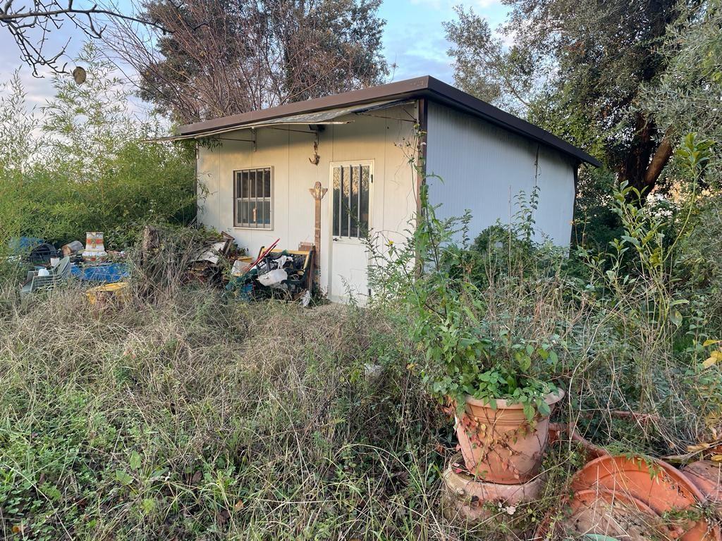 Terreno agricolo in vendita a Massa