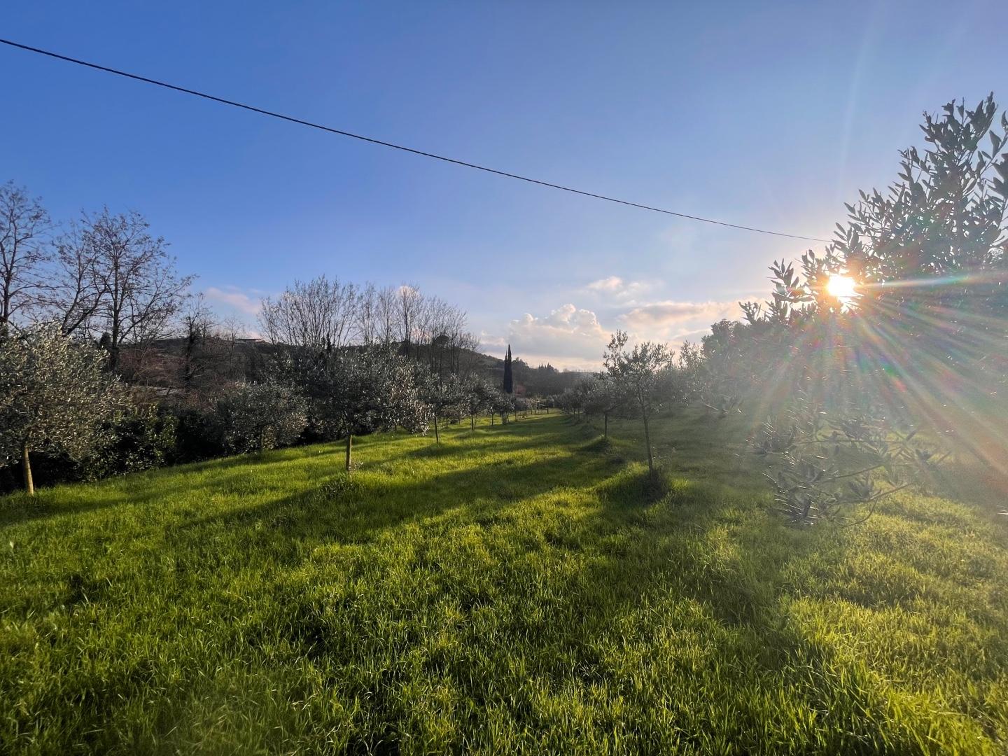 Terreno agricolo in vendita a Casciana Terme Lari (PI)