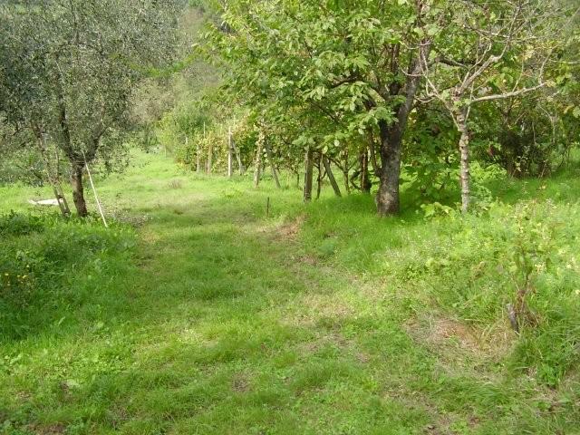 Terreno edif. residenziale in vendita a Massa e Cozzile