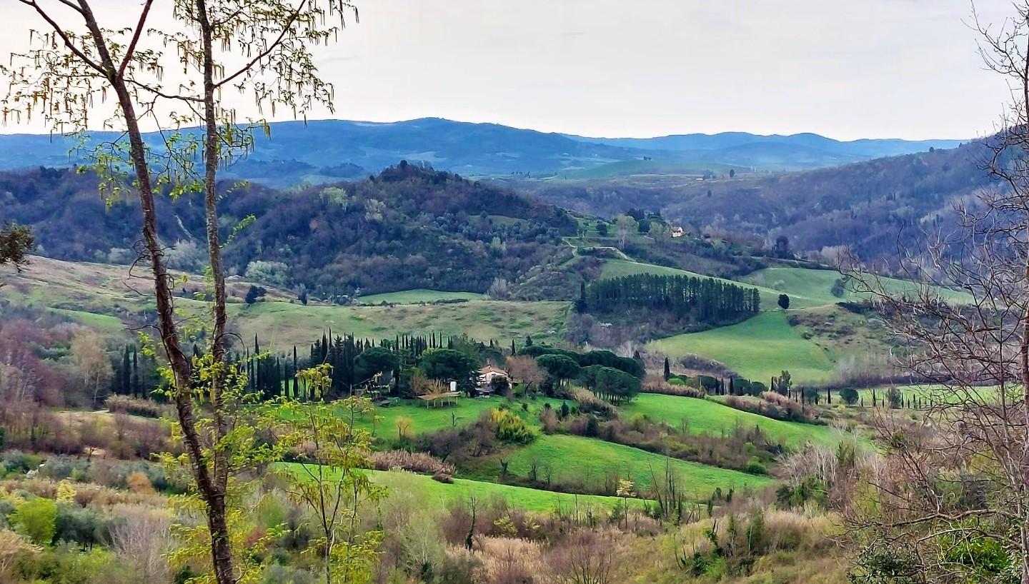 Casale in vendita a Palaia (PI)