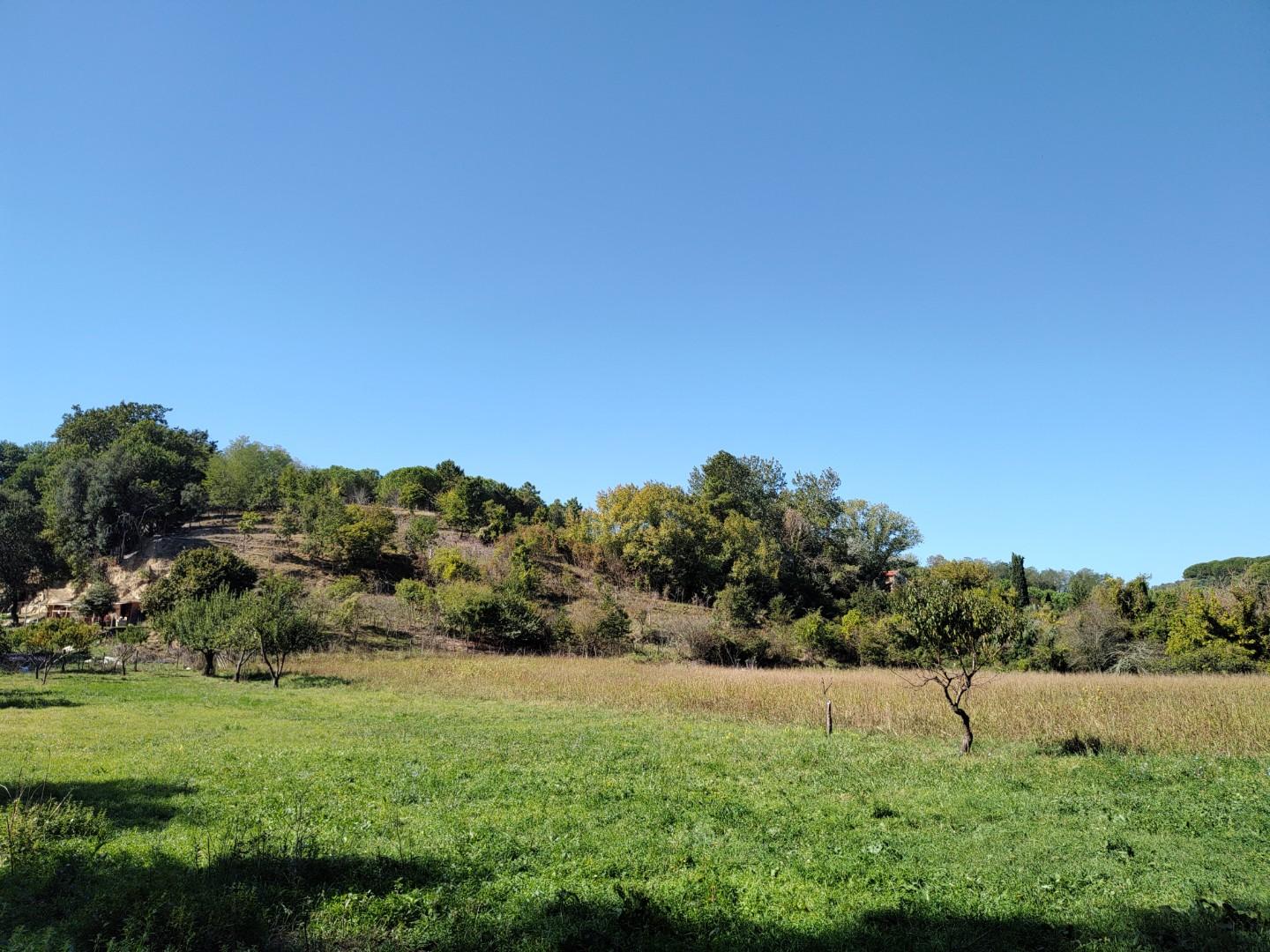 Terreno agricolo in vendita a Crespina lorenzana | Agenzia Toscana Immobiliare