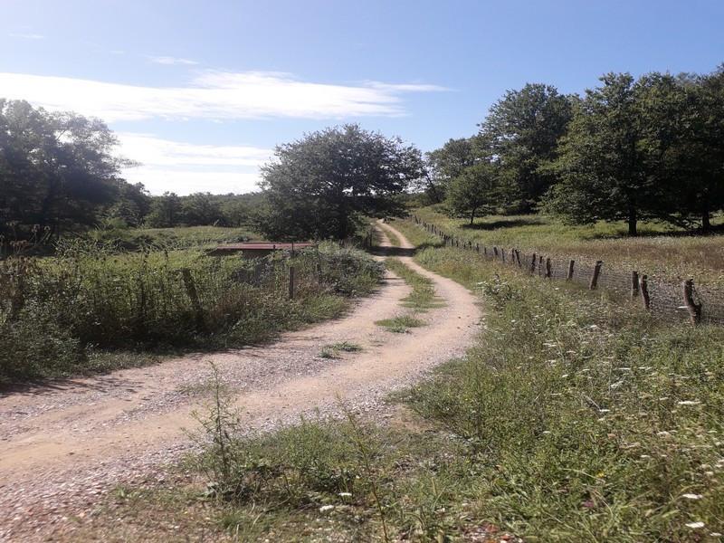 Terreno agricolo in vendita a Bagnone