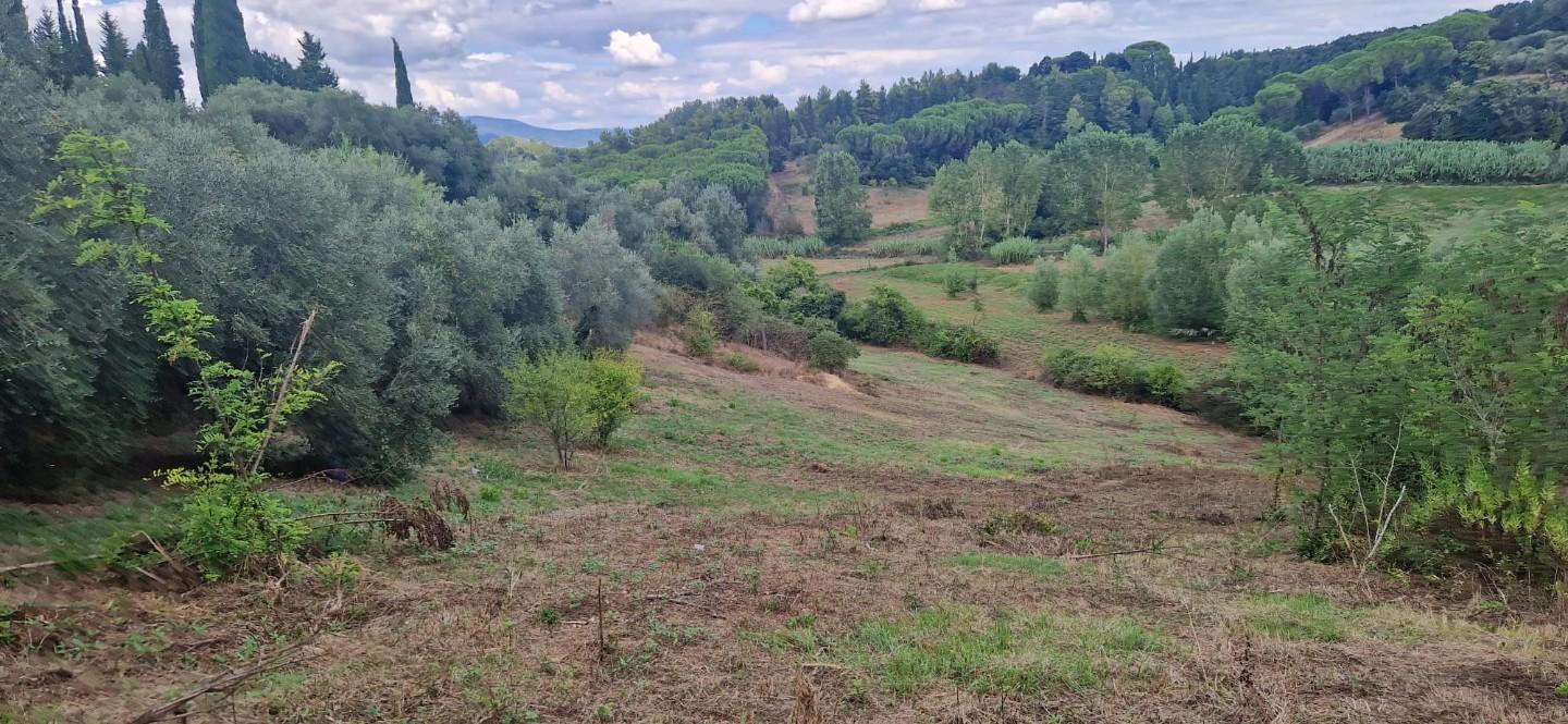 Terreno agricolo in vendita a Crespina Lorenzana