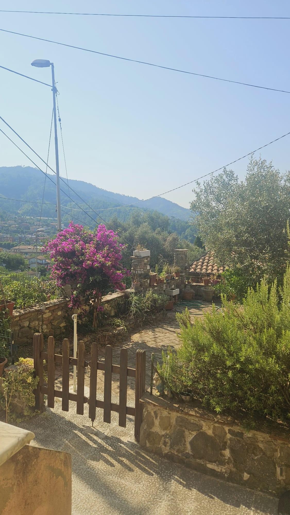 Casa semindipendente in vendita a Carrara