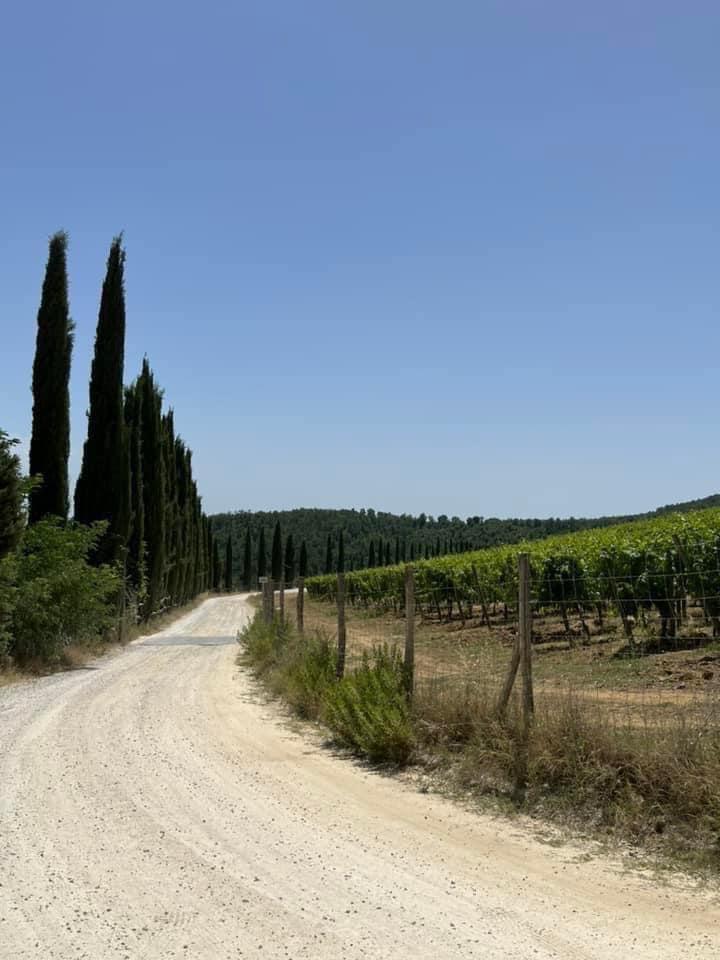 Appartamento in vendita a Castelnuovo Berardenga