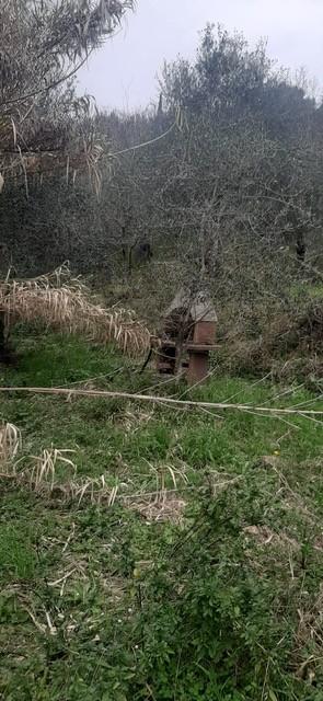 Annesso agricolo in vendita a Fosdinovo