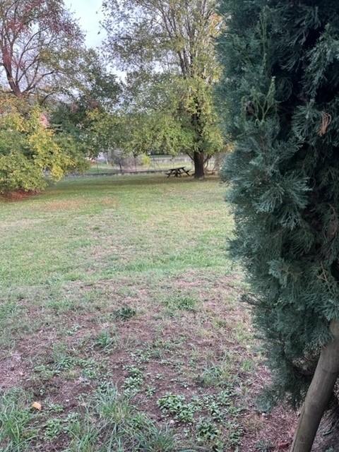 Terreno agricolo in vendita a Fosdinovo