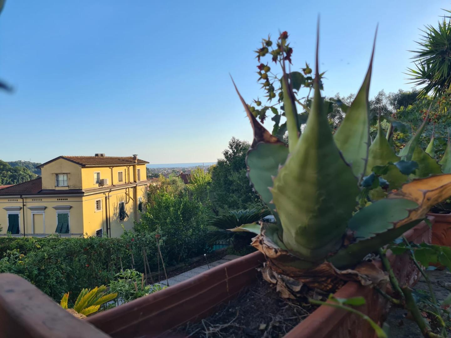 Villetta a schiera in vendita a Carrara