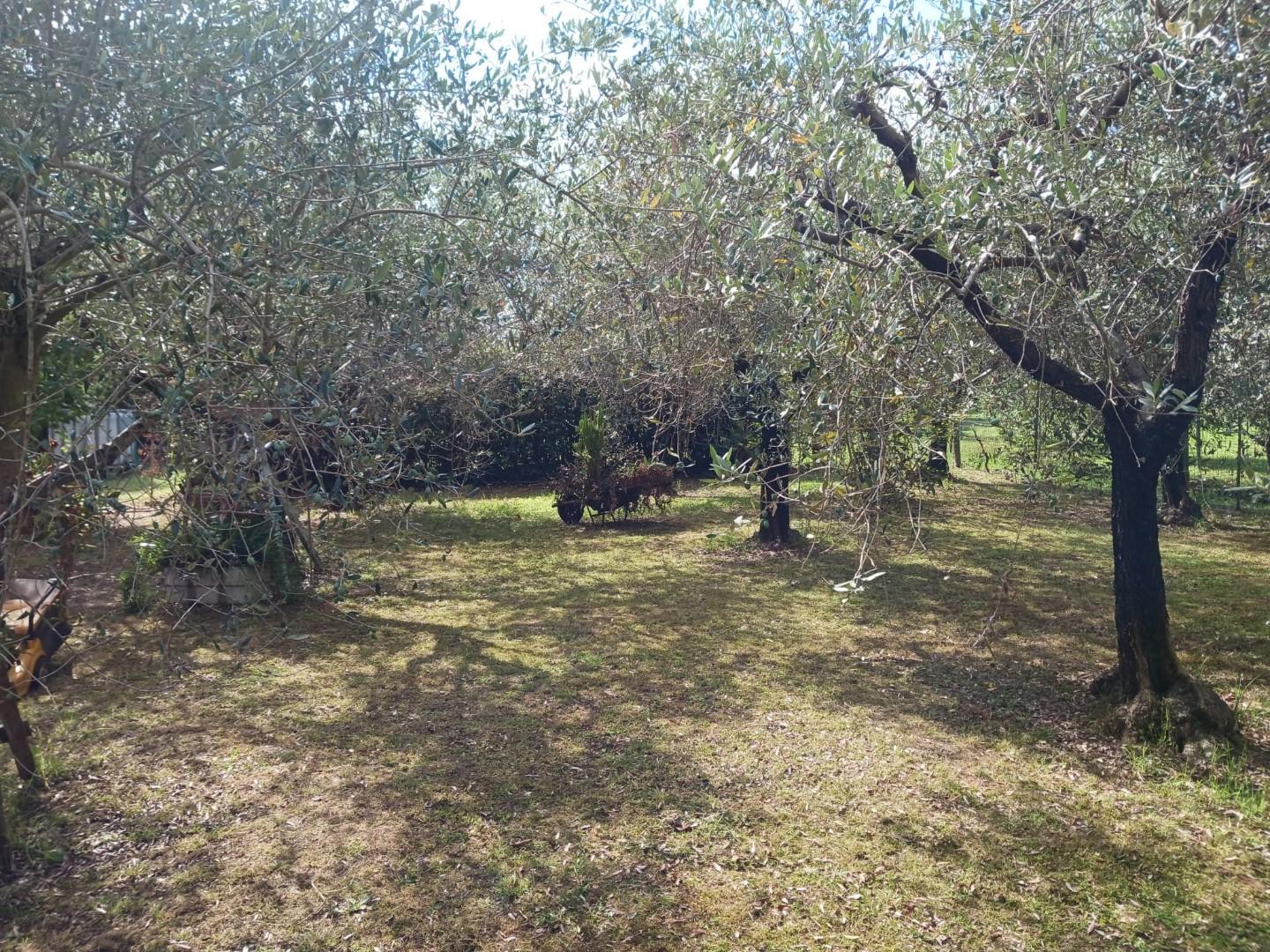 Villa in vendita a Carrara