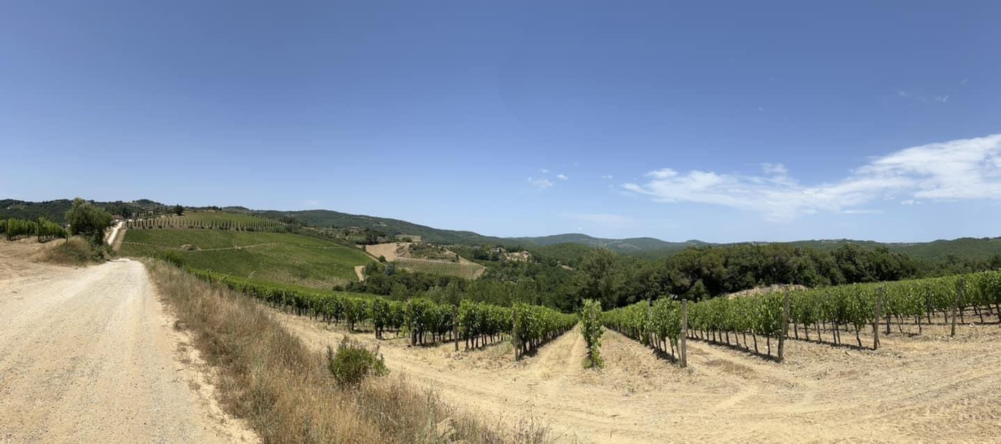 Terreno agricolo in vendita a Castelnuovo Berardenga