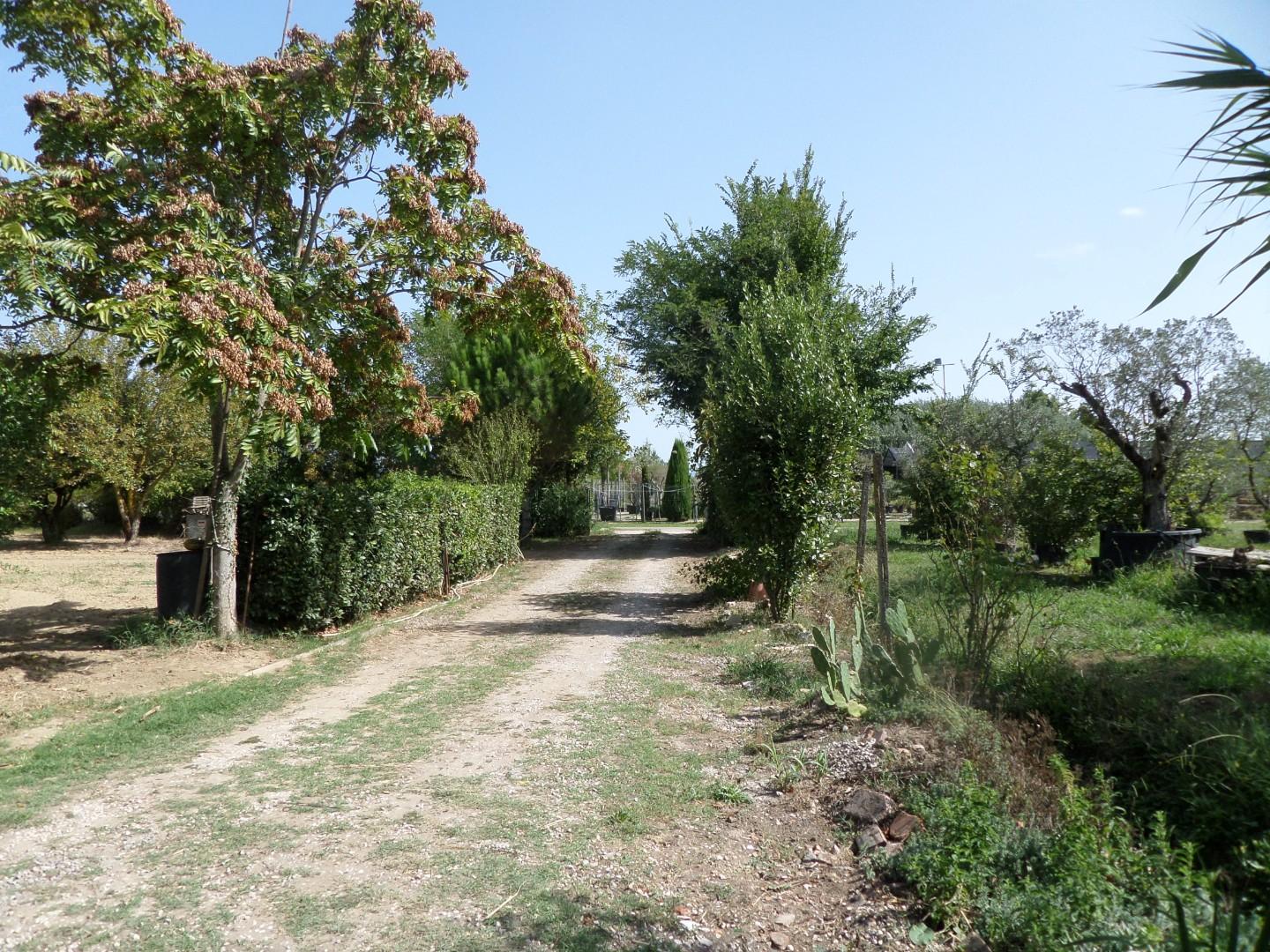 Terratetto in vendita a Castelfranco Di Sotto (PI)