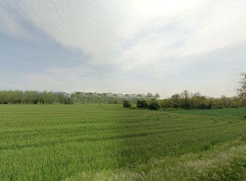 Terreno agricolo in vendita a Castelfranco di Sotto