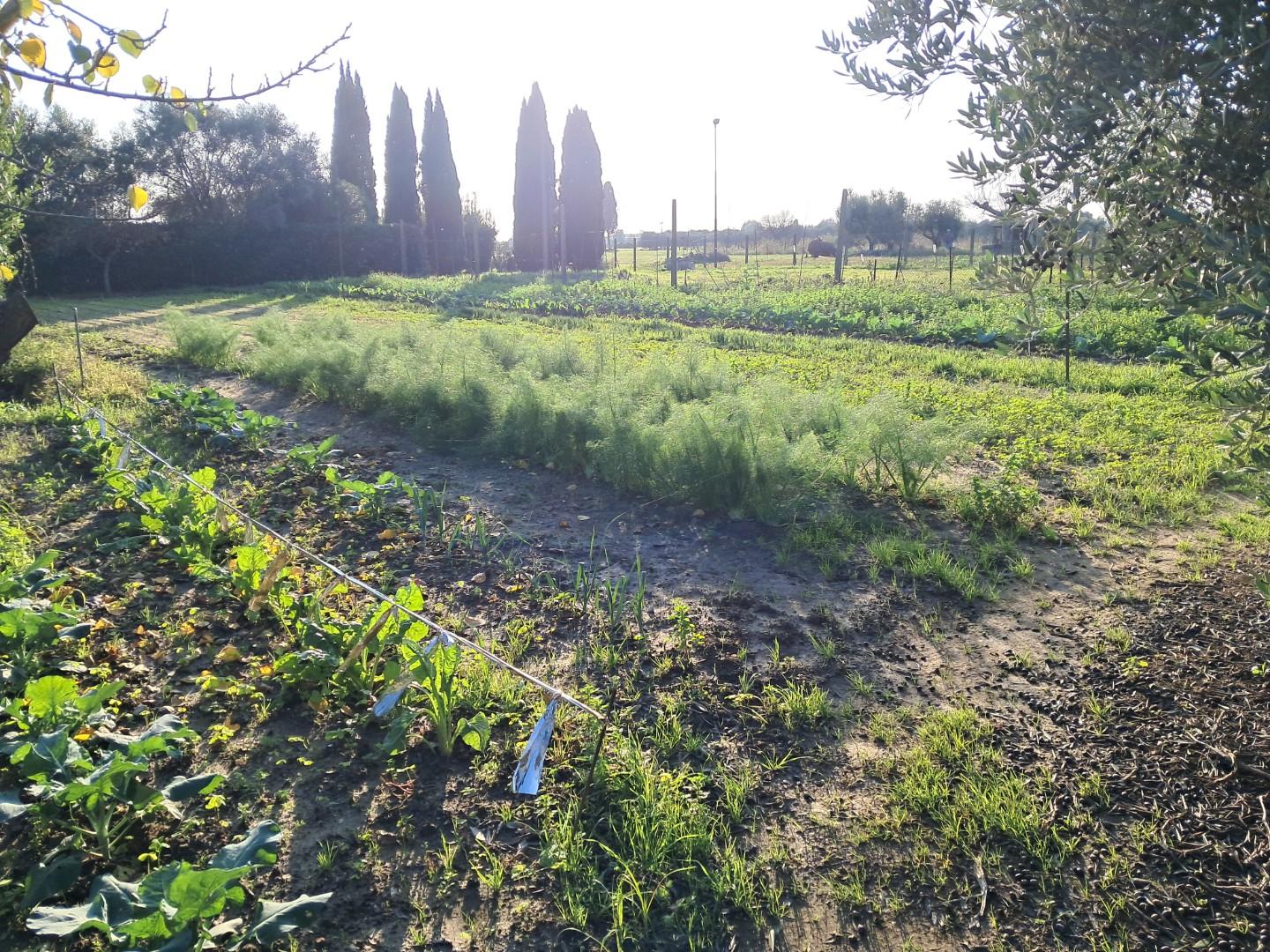 Villetta in vendita a Navacchio, Cascina (PI)