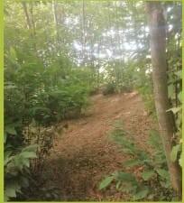 Terreno agricolo in vendita a Sovicille