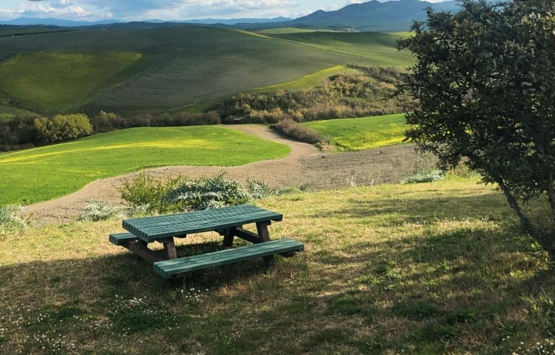 Terreno agricolo in vendita a Peccioli (PI)