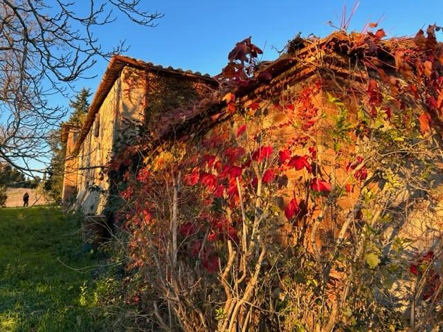 Casa singola in vendita a Siena