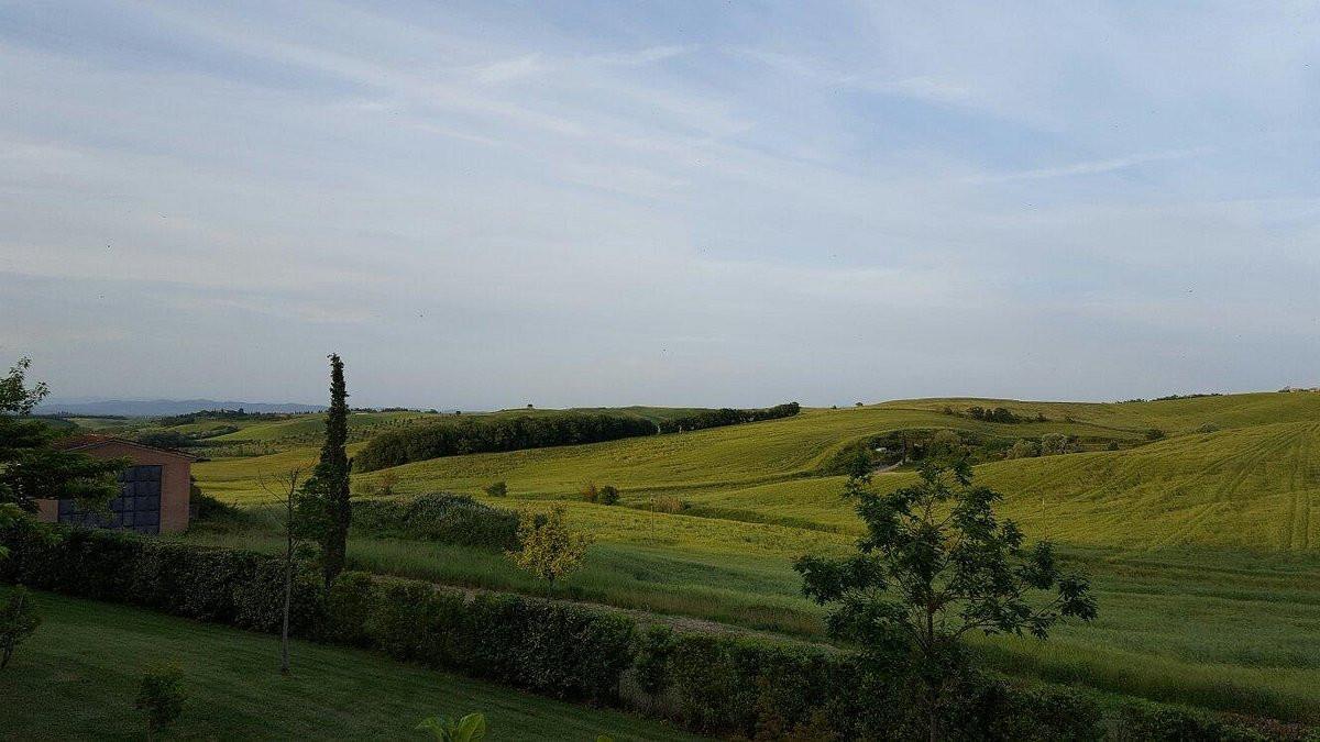 Terreno agricolo in vendita a Sovicille