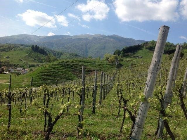 Capannone artigianale in vendita a Massa