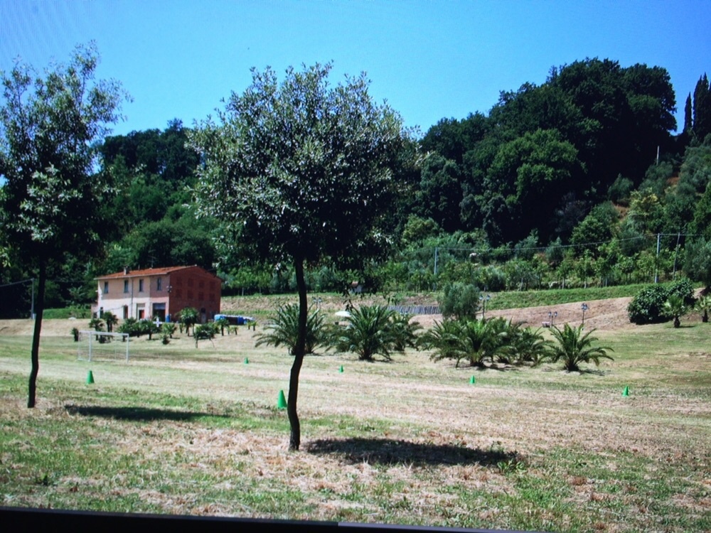 Colonica - Castelfranco di Sotto (9/34)