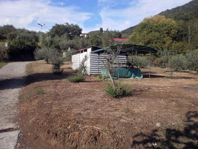 Terreno agricolo in vendita a Carrara