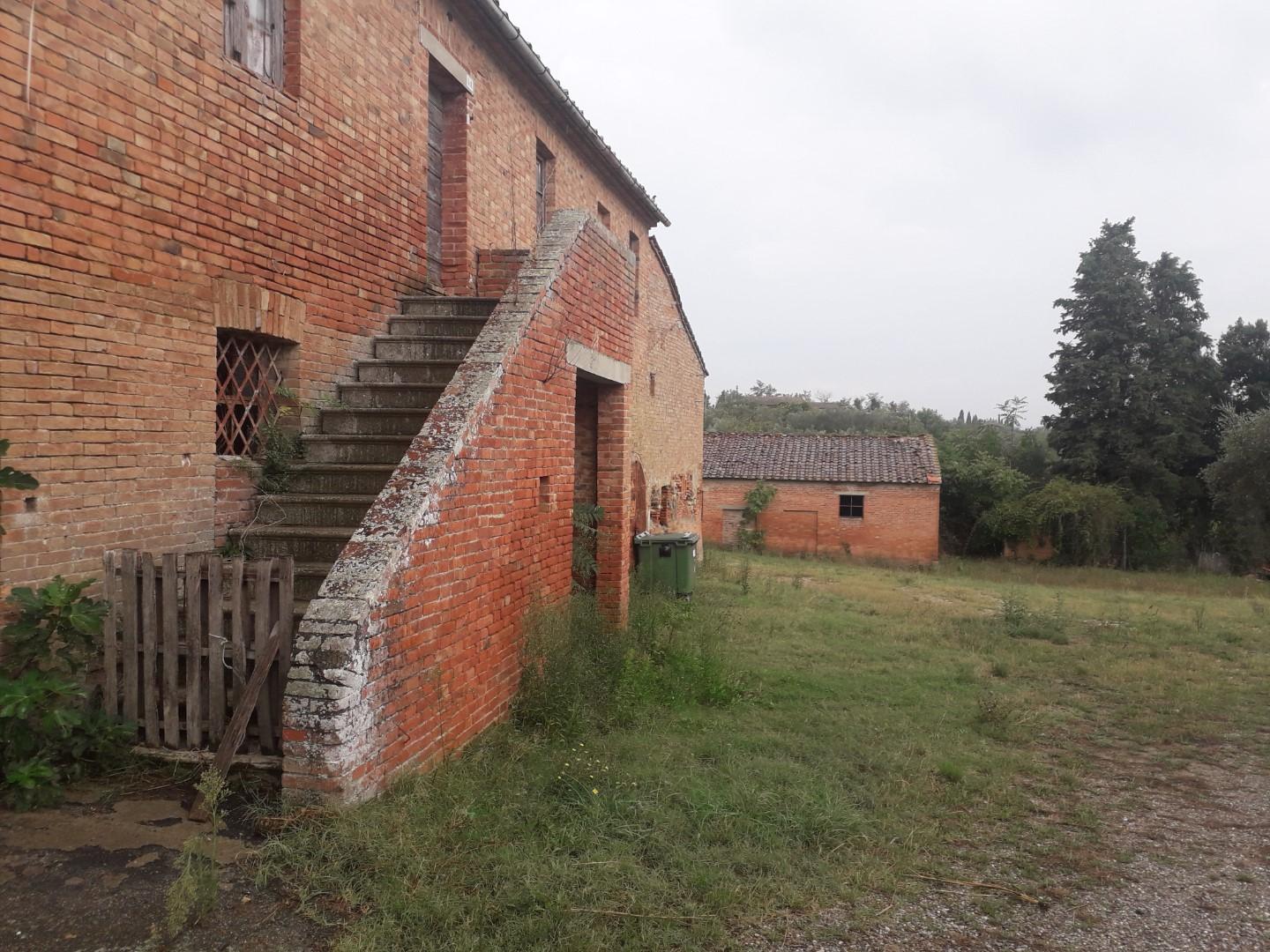 Terreno agricolo in vendita a Asciano