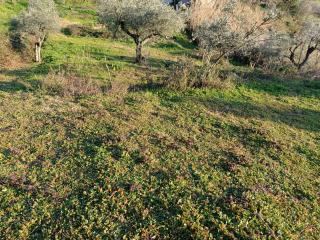 Fienile in vendita a Capraia E Limite (FI)