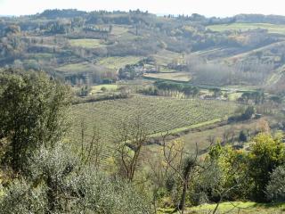 Azienda agricola in vendita a San Miniato (PI)