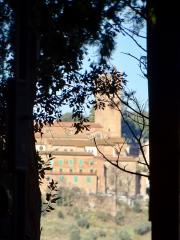 Azienda agricola in vendita a San Miniato (PI)