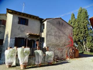 Azienda agricola in vendita a San Miniato (PI)