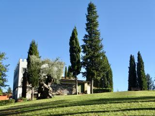 Azienda agricola in vendita a San Miniato (PI)