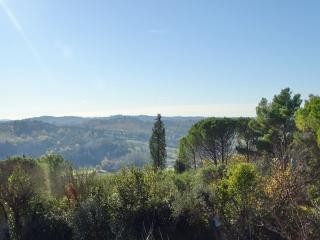 Azienda agricola in vendita a San Miniato (PI)