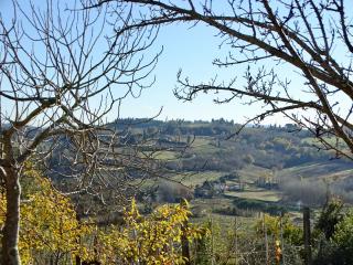 Azienda agricola in vendita a San Miniato (PI)