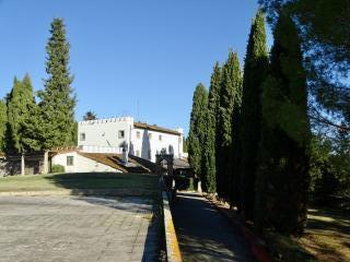 Azienda agricola in vendita a San Miniato (PI)