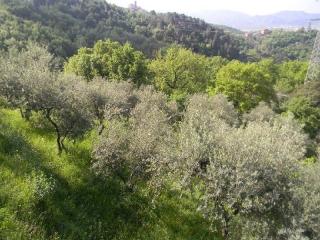 Casa indipendente in vendita a Ponzano Superiore, Santo Stefano Di Magra (SP)