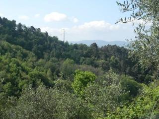 Casa indipendente in vendita a Ponzano Superiore, Santo Stefano Di Magra (SP)