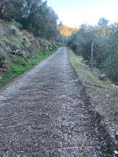 Rustico in vendita a Asciano, San Giuliano Terme (PI)