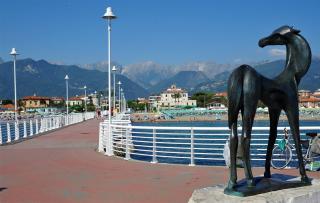 Negozio in vendita a Marina Di Massa, Massa (MS)