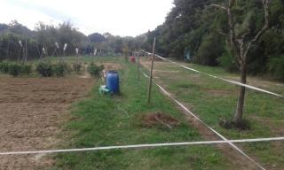 Terreno agricolo in vendita a Livorno (LI)