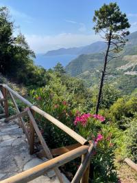 Colonica in vendita a Riomaggiore (SP)