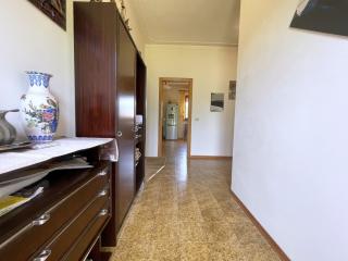 casa indipendente - Camaiore