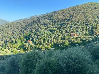 Rustico in vendita a Asciano, San Giuliano Terme (PI)