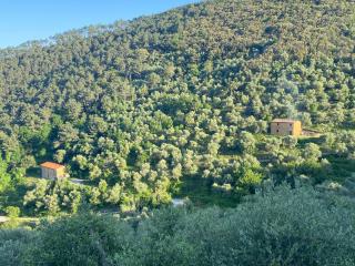 Rustico in vendita a Asciano, San Giuliano Terme (PI)