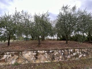 Appartamento in vendita a Gaiole In Chianti (SI)