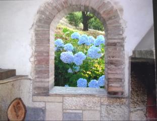 Rustico in vendita a Ruota, Capannori (LU)