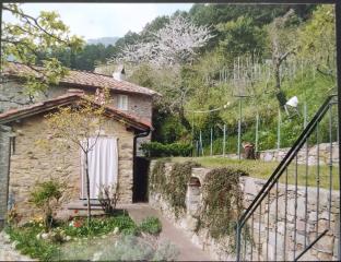 Rustico in vendita a Ruota, Capannori (LU)