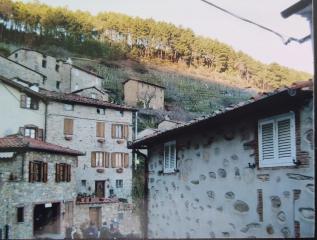 Rustico in vendita a Ruota, Capannori (LU)