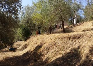 Terreno agricolo in vendita a Tendola, Fosdinovo (MS)