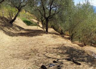 Terreno agricolo in vendita a Tendola, Fosdinovo (MS)